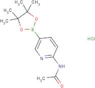 2-Acetamidopyridine-5-boronic acid, pinacol ester hydrochloride