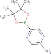 5-Aminopyrazine-2-boronic acid, pinacol ester