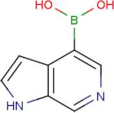 6-Azaindole-4-boronic acid
