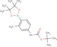 4-(Boc-Amino)-2-methylphenylboronic acid, pinacol ester