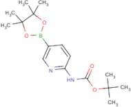 2-(BOC-Amino)pyridine-5-boronic acid, pinacol ester