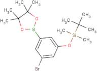 3-Bromo-5-tert-butyldimethylsilyloxyphenylboronic acid, pinacol ester