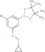 3-Bromo-5-(cyclopropylmethoxy)phenylboronic acid, pinacol ester
