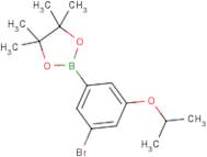 3-Bromo-5-isopropoxyphenylboronic acid, pinacol ester