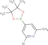 2-Bromo-6-methylpyridine-4-boronic acid, pinacol ester