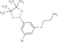 3-Bromo-5-propoxyphenylboronic acid, pinacol ester