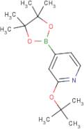 2-tert-Butoxypyridine-4-boronic acid, pinacol ester
