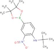 4-(N-tert-Butylamino)-3-nitrophenylboronic acid, pinacol ester