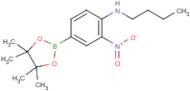 4-N-Butylamino-3-nitrophenylboronic acid, pinacol ester