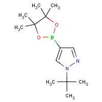 1-tert-Butylpyrazole-4-boronic acid, pinacol ester