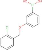 3-(2'-Chlorobenzyloxy)phenylboronic acid
