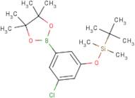 3-Chloro-5-t-butyldimethylsilyloxyphenylboronic acid, pinacol ester