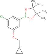 3-Chloro-5-cyclopropylmethoxyphenylboronic acid, pinacol ester
