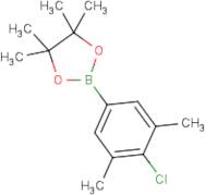 4-Chloro-3,5-dimethylphenylboronic acid, pinacol ester