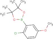 2-Chloro-5-methoxyphenylboronic acid, pinacol ester