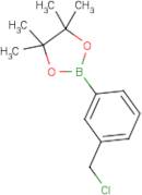 3-Chloromethylphenylboronic acid, pinacol ester