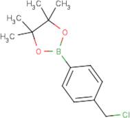 4-Chloromethylphenylboronic acid, pinacol ester