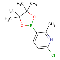 6-Chloro-2-methyl-3-(4,4,5,5-tetramethyl-1,3,2-dioxaborolan-2-yl)pyridine