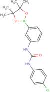 1-(4-Chlorophenyl)-3-[3-(tetramethyl-1,3,2-dioxaborolan-2-yl)phenyl]urea