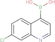 7-Chloroquinoline-4-boronic acid