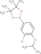 3-Choloro-4-isoproxyphenylboronic acid, pinacol ester