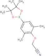 4-Cyanomethoxy-3,5-dimethylphenylboronic acid, pinacol ester