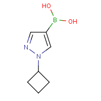 (1-Cyclobutylpyrazol-4-yl)boronic acid