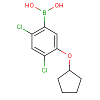 2,4-Dichloro-5-(cyclopentyloxy)phenylboronic acid