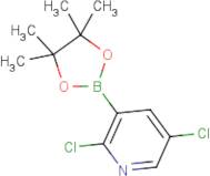 2,5-Dichloropyridine-3-boronic acid, pinacol ester