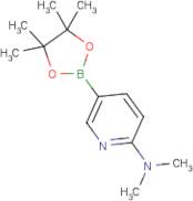6-(Dimethylamino)pyridine-3-boronic acid, pinacol ester