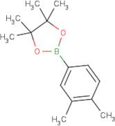 3,4-Dimethylphenylboronic acid, pinacol ester