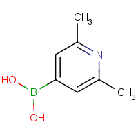 2,6-Dimethyl-pyridine-4-boronic acid