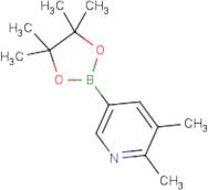 2,3-Dimethylpyridine-5-boronic acid, pinacol ester