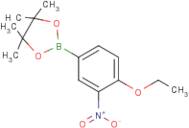 4-Ethoxy-3-nitrophenylboronic acid, pinacol ester