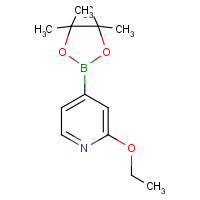 2-Ethoxypyridine-4-boronic acid, pinacol ester