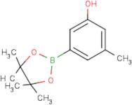 3-Hydroxy-5-methylphenylboronic acid, pinacol ester