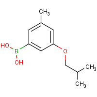 3-Isobutoxy-5-methylphenylboronic acid