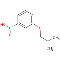 3-Isobutoxyphenylboronic acid