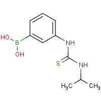 3-(3-Isopropylthioureido)phenylboronic acid