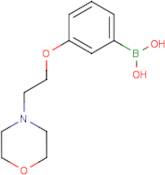 3-(2-Morpholinoethoxy)phenylboronic acid