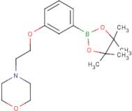 3-(2-Morpholinoethoxy)phenylboronic acid, pinacol ester