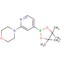 2-Morpholinopyridine-4-boronic acid, pinacol ester