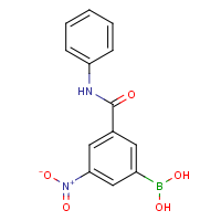 3-(Phenylaminocarbonyl)-5-nitrophenylboronic acid