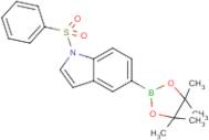1-(Phenylsulfonyl)indole-5-boronic acid, pinacol ester