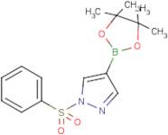 1-(Phenylsulfonyl)pyrazole-4-boronic acid, pinacol ester