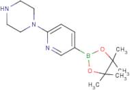 2-Piperazinopyridine-5-boronic acid, pinacol ester