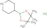 Piperidine-4-boronic acid, pinacol ester hydrochloride