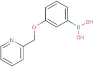 3-(Pyridin-2-ylmethoxy)phenylboronic acid