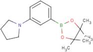 3-(Pyrrilidyl)phenylboronic acid, pinacol ester