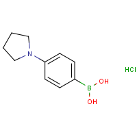 4-(Pyrrolidino)phenylboronic acid hydrochloride